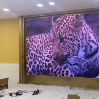 Светодиодный экран P2.5 288*192, 1152х768 px, г. Киев